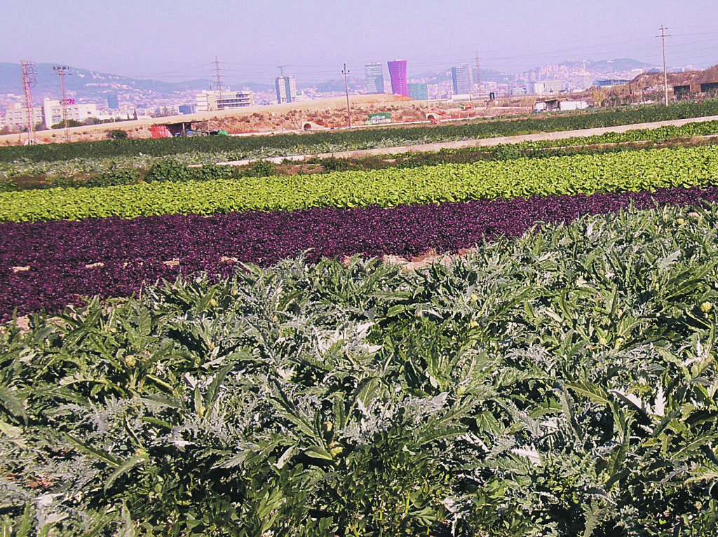 L’àrea metropolitana conserva un ric patrimoni agrícol i forestal.