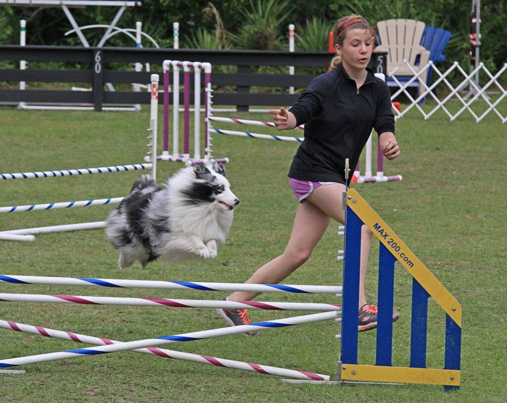 agility