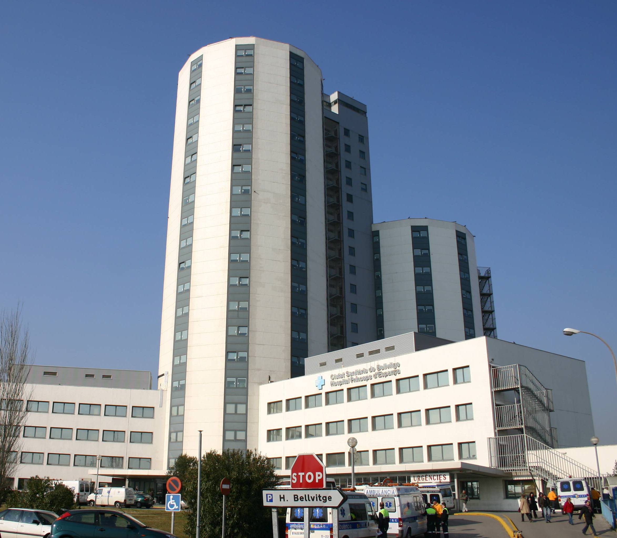 Título de la imagen