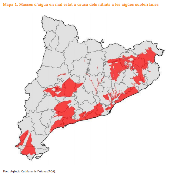 aigua nitrats sindic