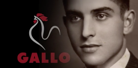 gallo espona
