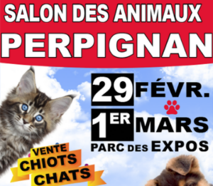 Cartel de la feria Animaliades