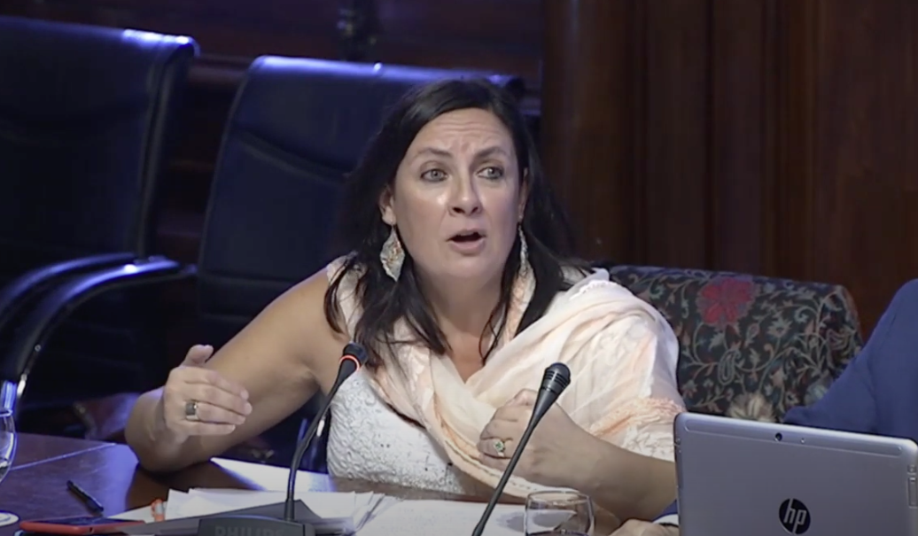 Susana Beltrán, de Cs, en la comisión parlamentaria de Cultura