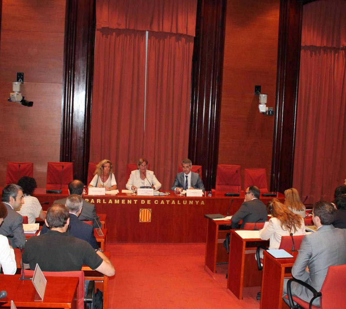 dipoutació permanent