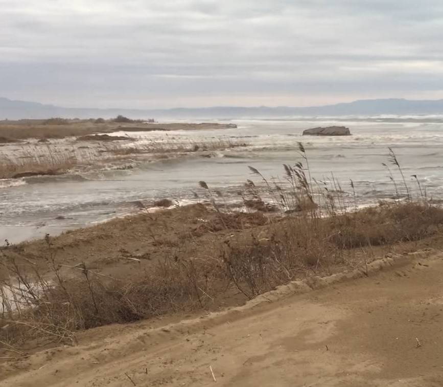 Título de la imagen