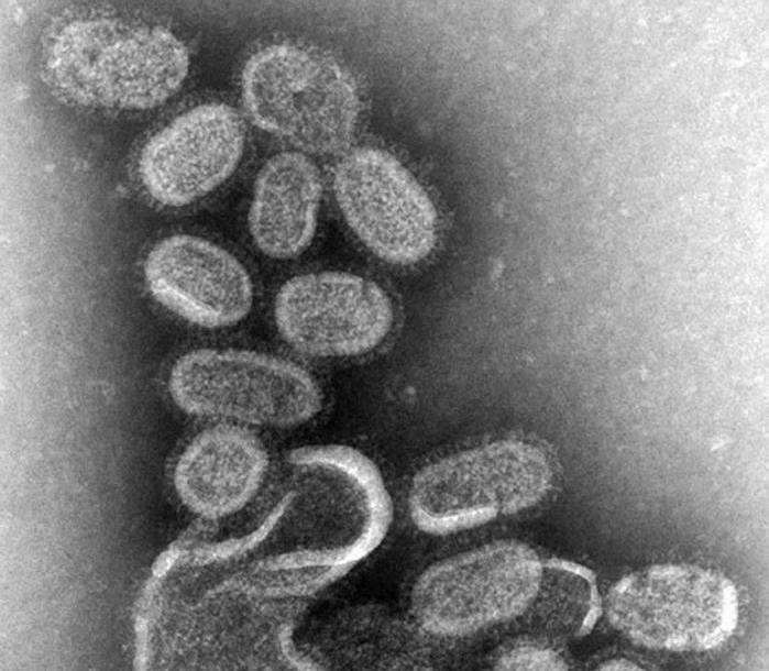 Título de la imagen