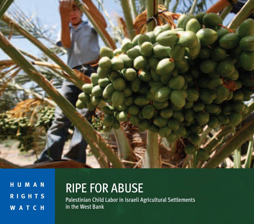 hrw palestine israel