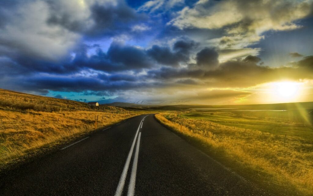 My landscape