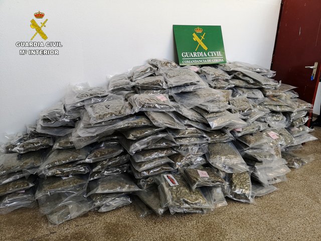 Marihuana confiscada durant l'operació Heyho