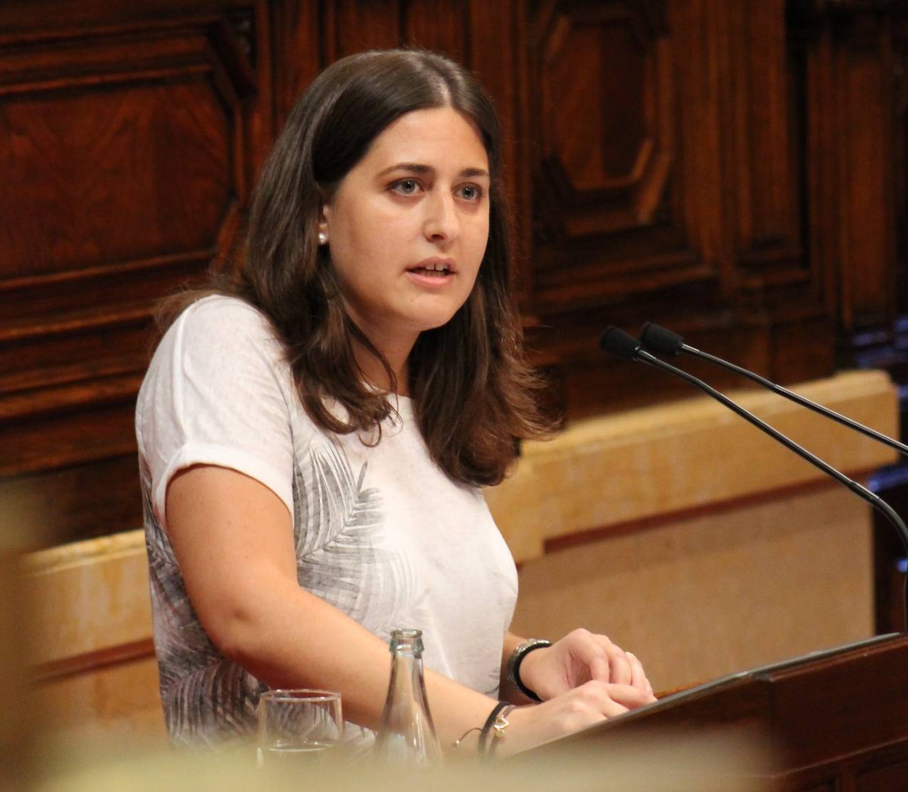 Título de la imagen