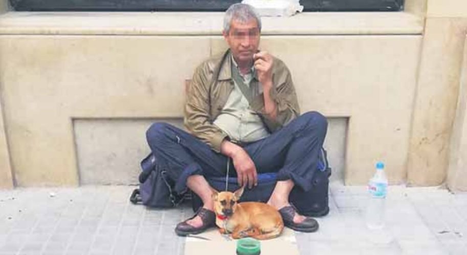 El gos de la imatge ja havia passat per tres captaires el mateix dia.