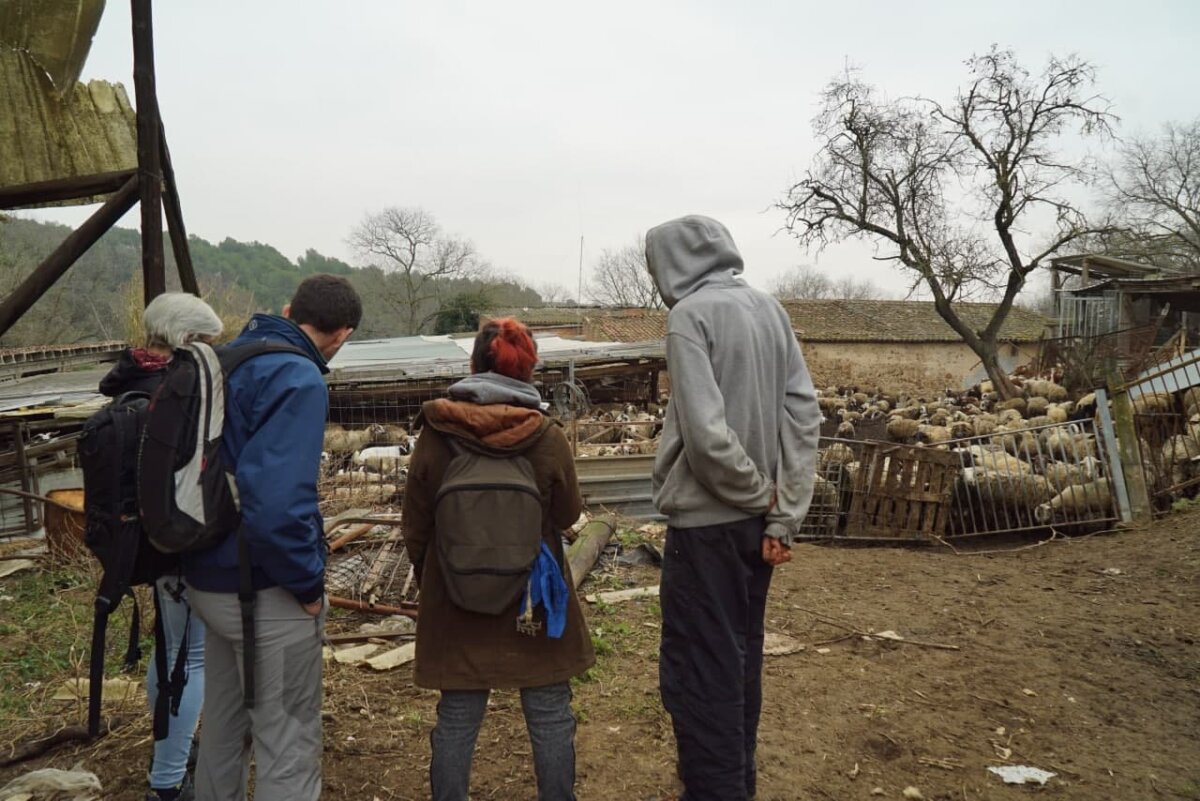 Visita de AnimaNaturalis a la granja