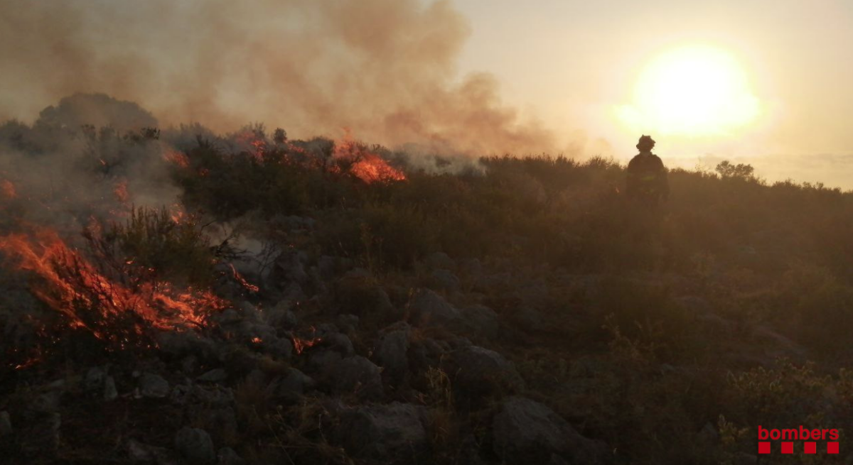 El incendio del Mazico del Montgrí