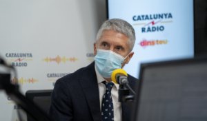 El ministro del Interior, Fernando Grande-Marlaska