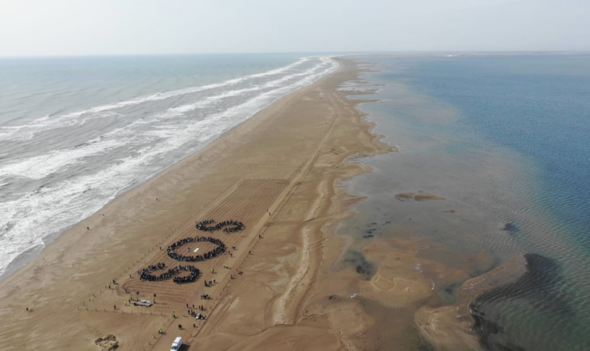 SOS dels activistes del Delta de l'Ebre