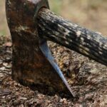 Hacha de leñador (Daniel Nebreda, Pixabay)