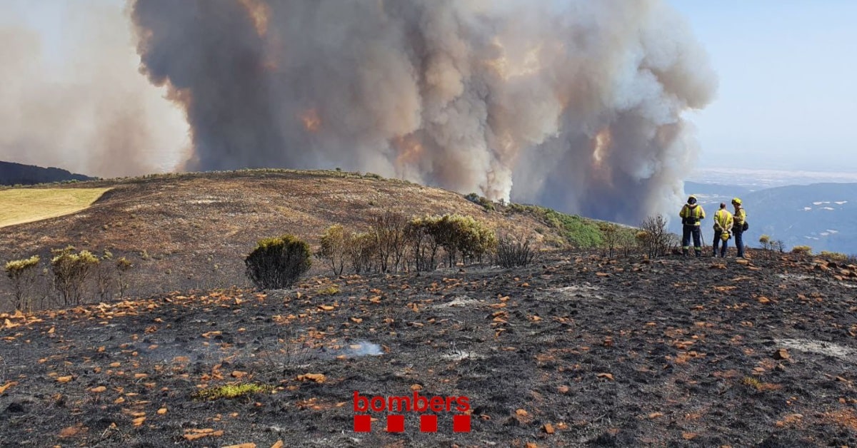 Incendio forestal en Baldomar, en Artesa de Segre (La Noguera) (Bombers de Catalunya)