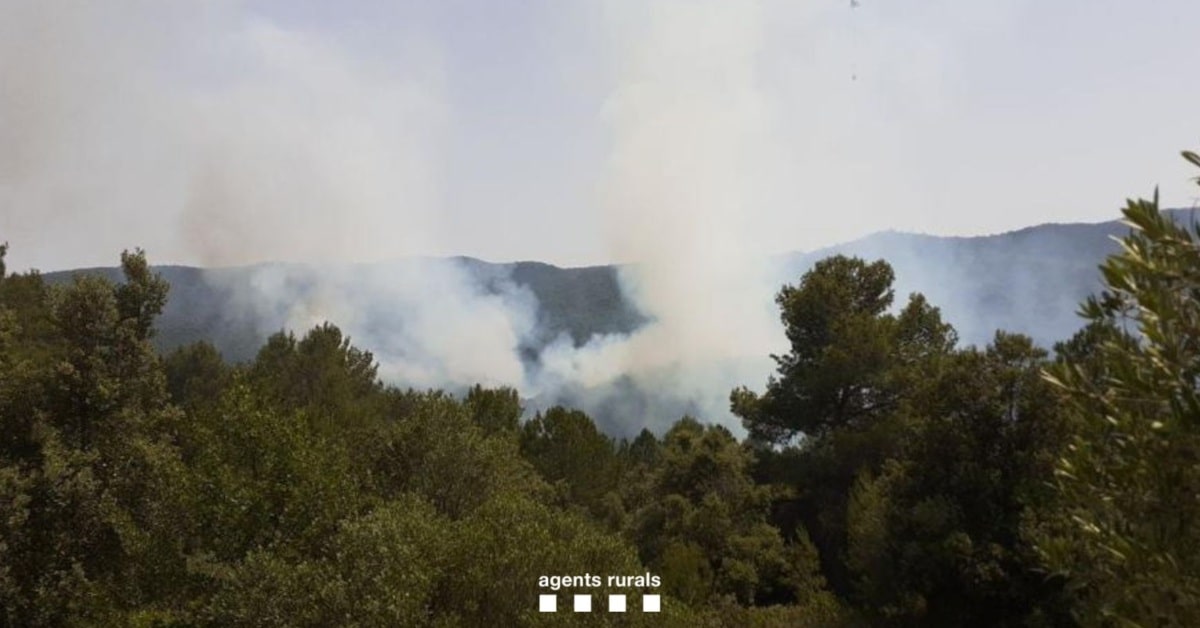 Incendio forestal en el municipio de Bassella (Alt Urgell)