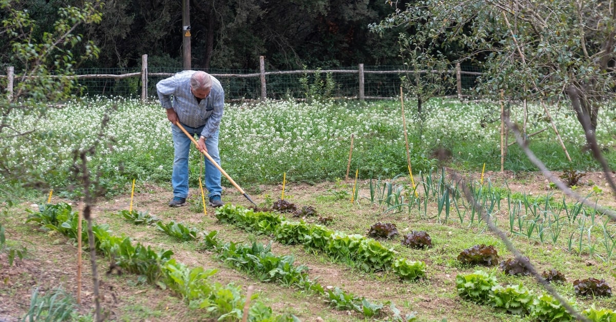 Agricultor al Parc Natural de la Serra de Collserola (AMB)