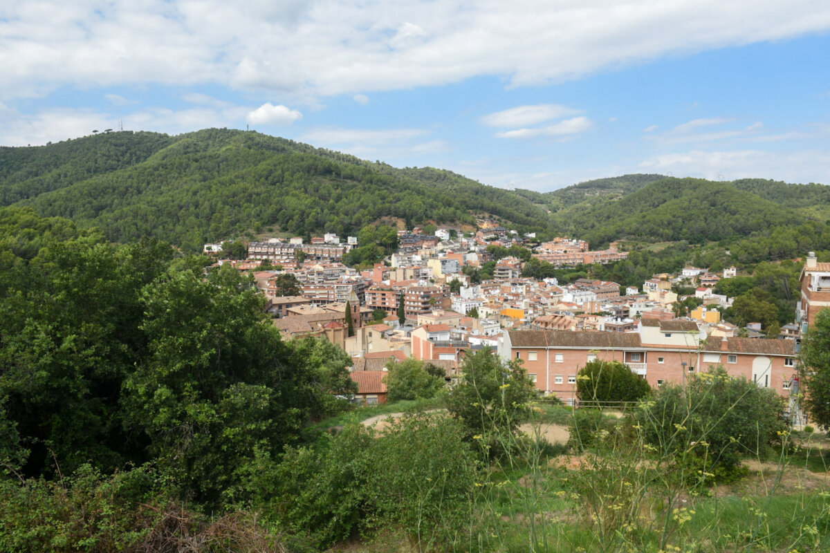 La estrategia de gestión forestal del AMB da un giro hacia las montañas del territorio y los bosques periurbanos (AMB, Albert Canalejo)