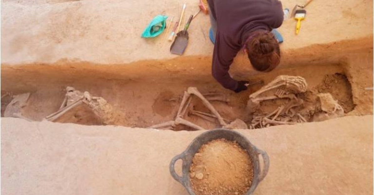 La fossa comuna més gran oberta a Catalunya, situada a Mas de Santa Magdalena, Móra d'Ebre (Departament de Justícia)