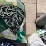 Cubos de pintura y bolsas de plástico con pescado (Departament d'Acció Climàtica de la Generalitat de Catalunya)