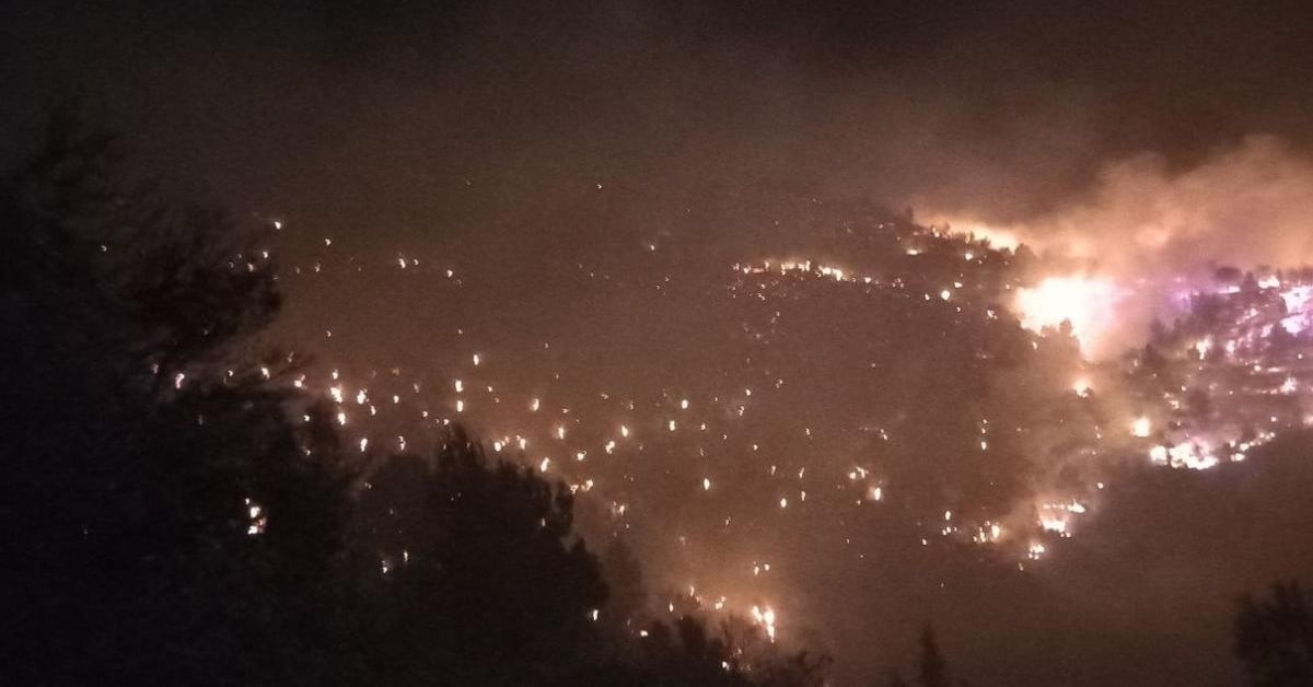 Incendi a Tortosa (Bombers de la Generalitat)