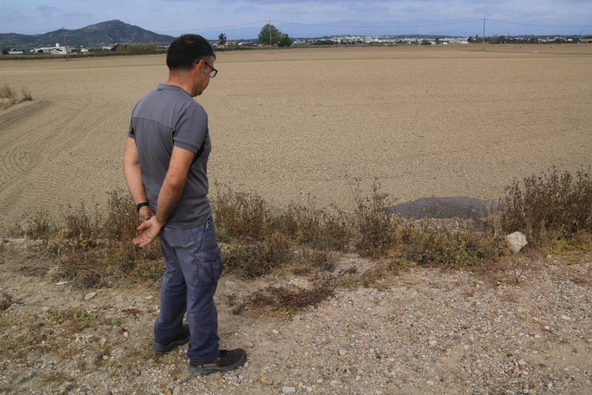 Un arrosaire de la Dreta de l'Ebre observa com s'inicia la inundació de la seva finca (ACN)