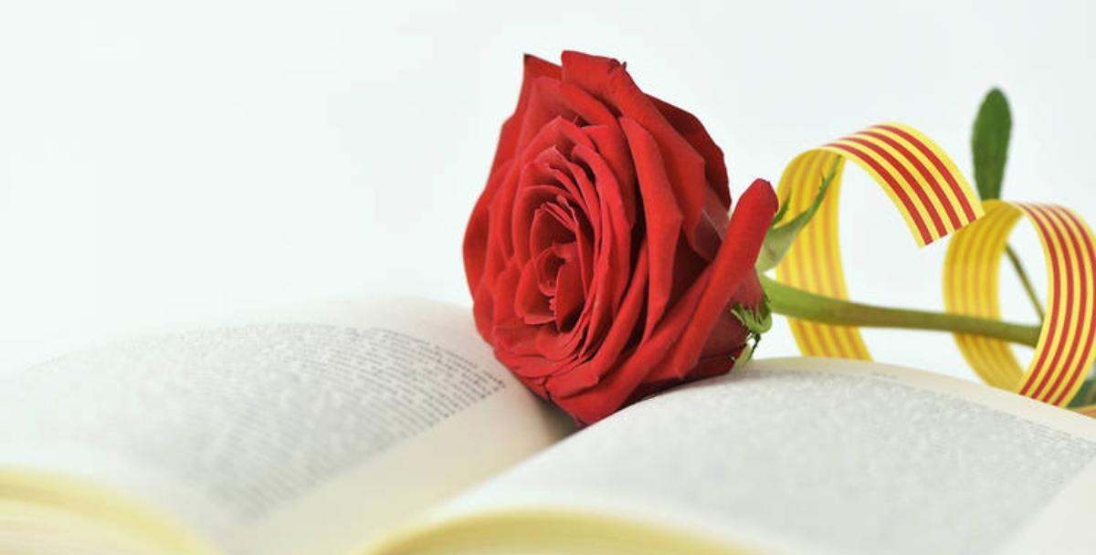 Rosa i llibre de Sant Jordi (Shutterstock)