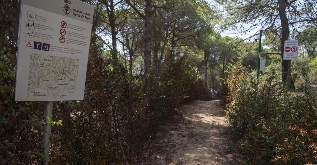 La entrada a la finca de Can Juncadella (David Aparicio, Diari de Girona)