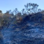 El incendio forestal de Cervelló (Bombers de la Generalitat de Catalunya)