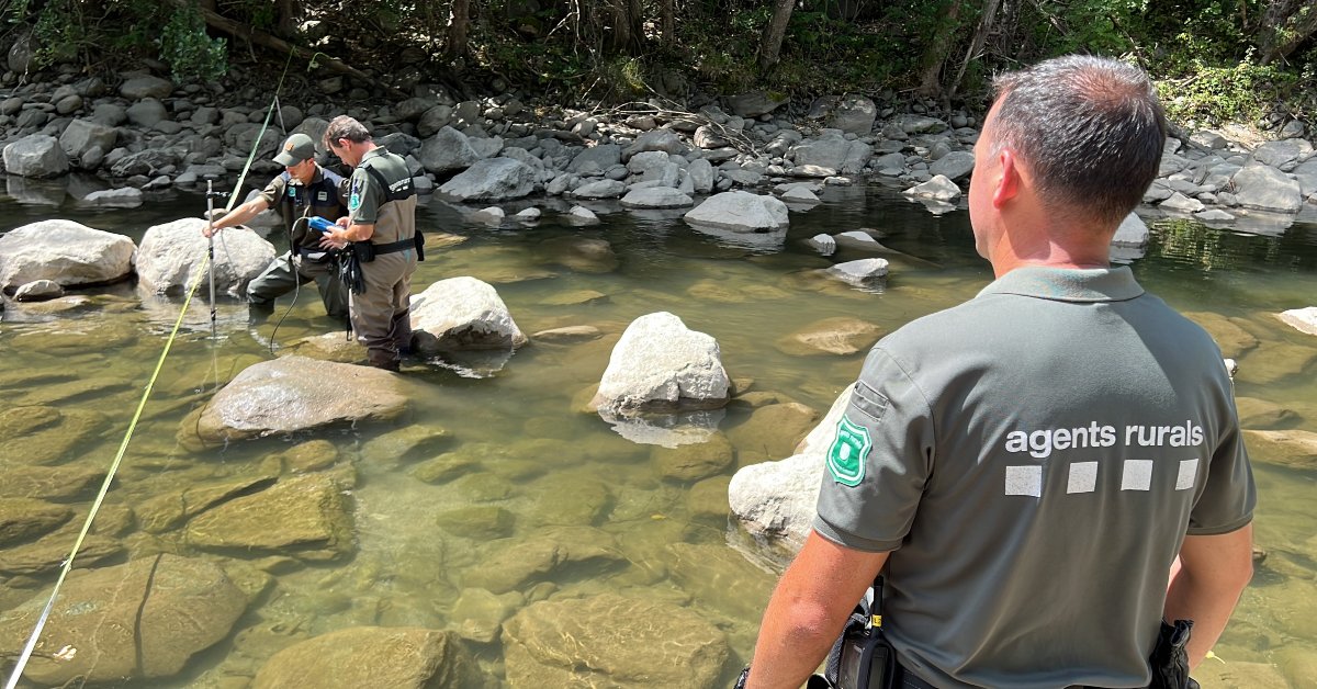 Agentes Rurales midiendo el caudal ecológico del río Segre en un punto cercano a una captación de agua, en Estamariu, Alt Urgell (Albert Lijarcio, ACN)