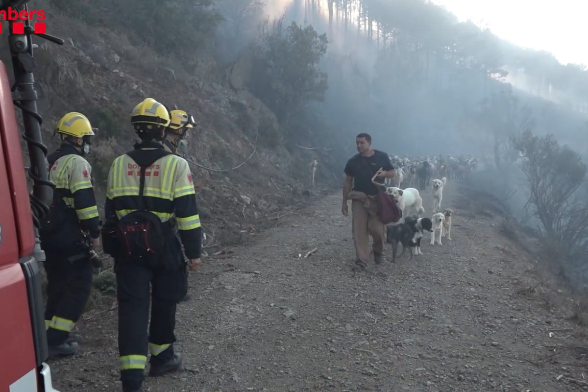 Els Bombers de la Generalitat a la zona de l'incendi de Portbou amb un pastor amb cabres