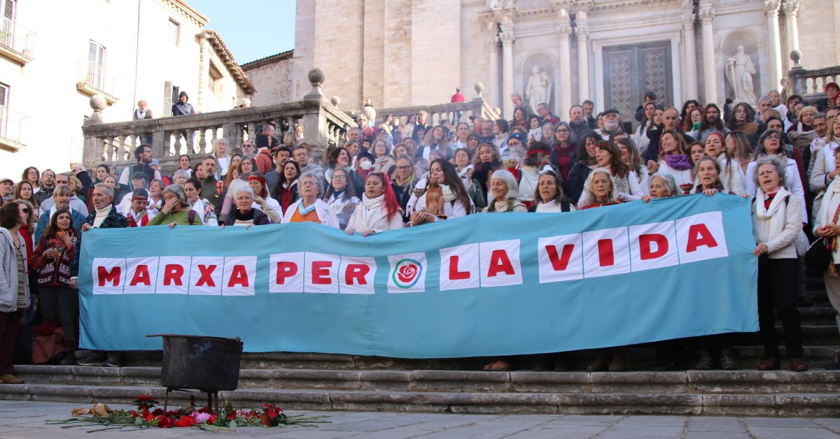 El final de la 'marcha por la vida' en las escaleras de la Catedral de Girona (Ariadna Reche, ACN)