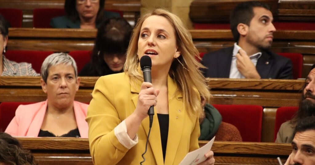 La consellera de Economía, Natàlia Mas Guix, interviniendo en la sesión de control al Gobierno catalán (Mariona Puig, ACN)