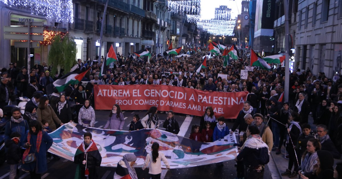 Manifestación para exigir el fin del genocidio en Gaza (Ariadna Comas, ACN)