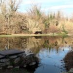 El riu Ter creuant pel barri de Pedret de Girona (Marina López, ACN)
