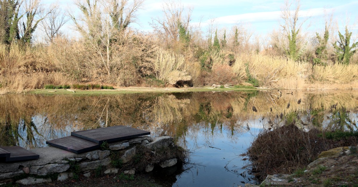 El riu Ter creuant pel barri de Pedret de Girona (Marina López, ACN)