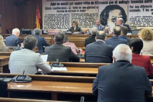 Reunió de la comissió del 'cas Koldo' al Senat