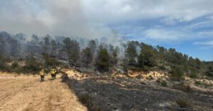 Els Bombers treballant en l'incendi de vegetació de Batea, a la Terra Alta (Bombers de la Generalitat)