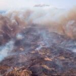 Personal de la UME y bomberos trabajando en las tareas de extinción (Unidad Militar de Emergencias)