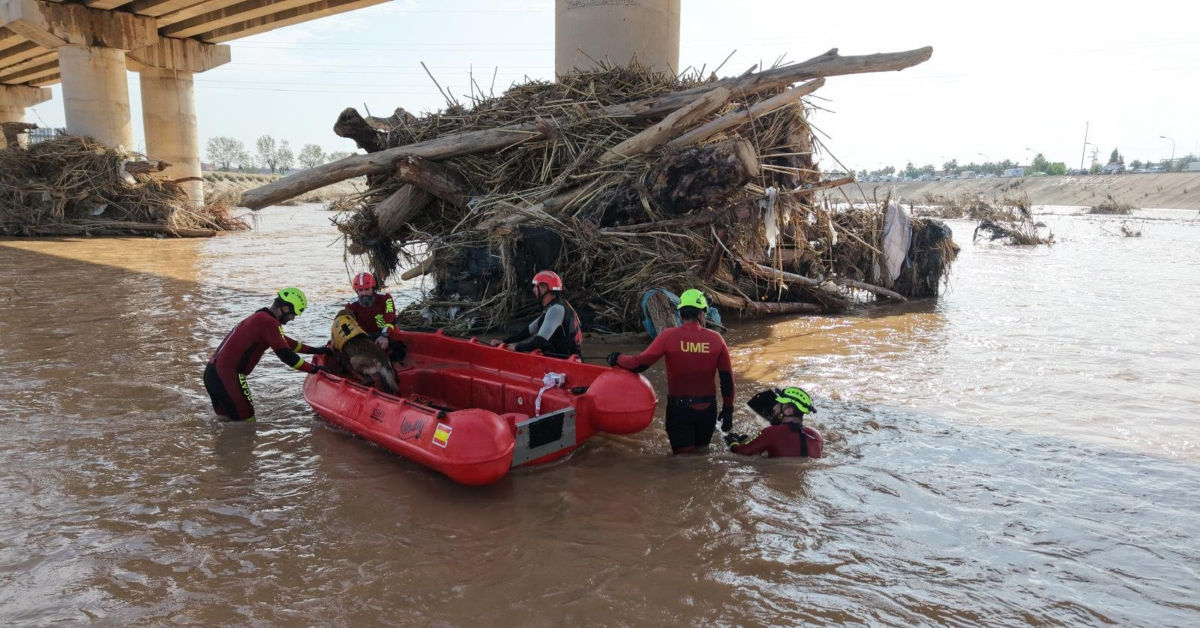 Bussejadors de la UME en les tasques per pentinar el riu Túria (Bombers de València)