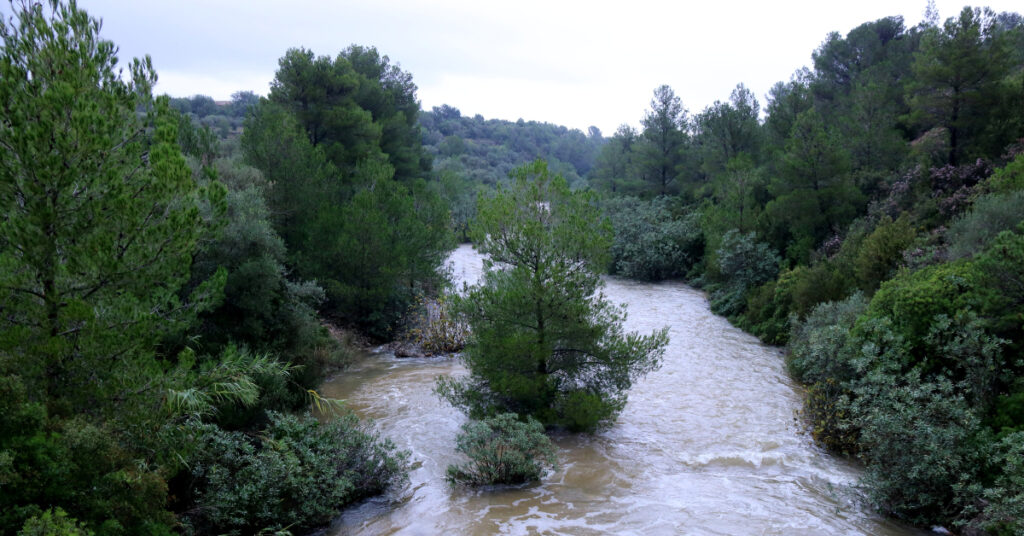 El barranco de Lloret lleva agua del massís dels Ports a su paso por el término municipal de Roquetes, Baix Ebre (Jordi Marsal, ACN)