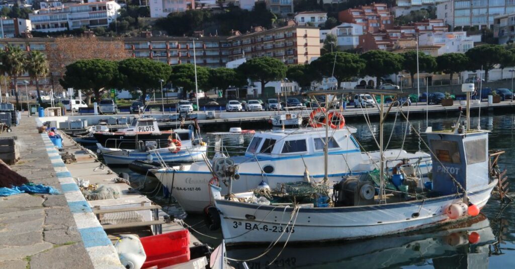 Barcos amarrados en el puerto de Roses (Gemma Tubert, ACN)