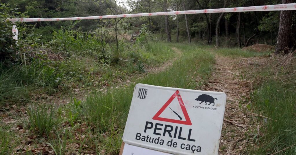 Cartell indicant una batuda de senglar (Marina López, ACN)