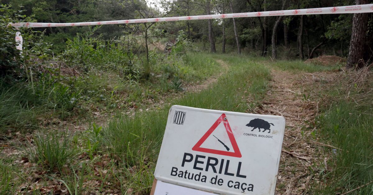 Cartel indicando una batida de jabalí (Marina López, ACN)