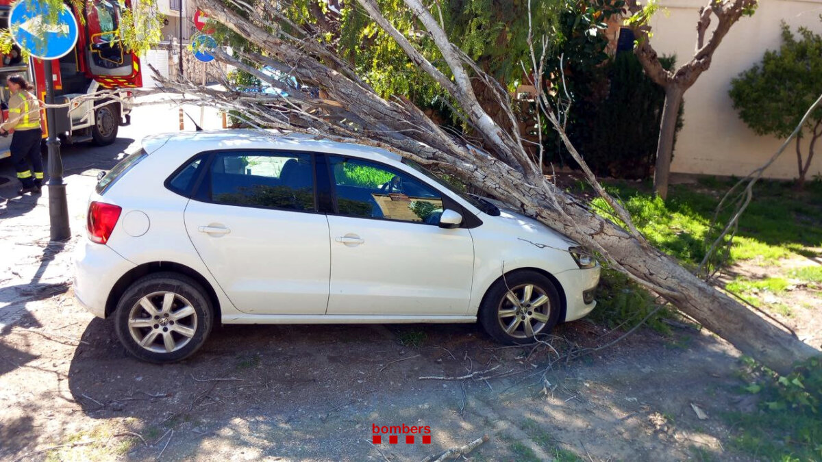 Un árbol caído sobre un coche en la calle de les Moreres, en Altafulla (Bomberos de la Generalitat)