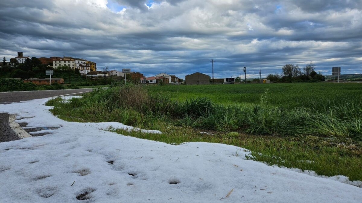 Afectacions de la pedregada al municipi d'Agramunt (Marta Lluvich, ACN)
