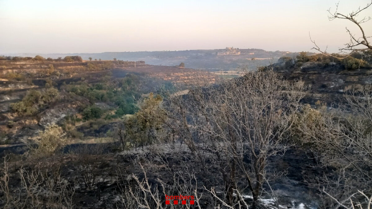 El incendio agrícola de la Segarra se ha dado por controlado este domingo por la mañana (Bomberos de la Generalitat)