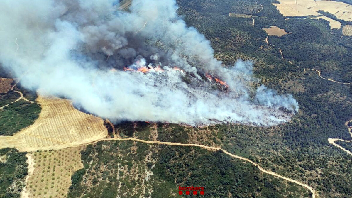 El incendio de vegetación en Os de Balaguer (Bomberos de la Generalitat, ACN)